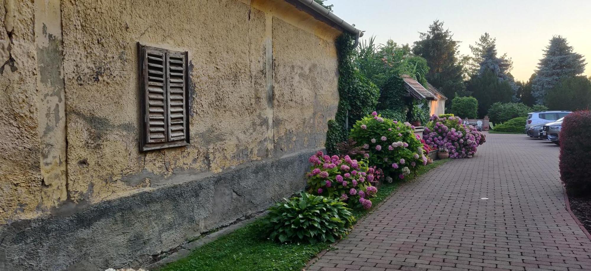 Bed and Breakfast Korona Panzio Balatonberény Exteriér fotografie