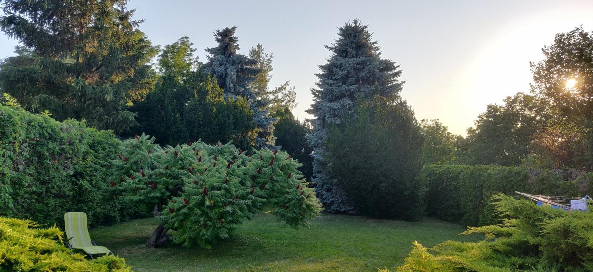 Bed and Breakfast Korona Panzio Balatonberény Exteriér fotografie