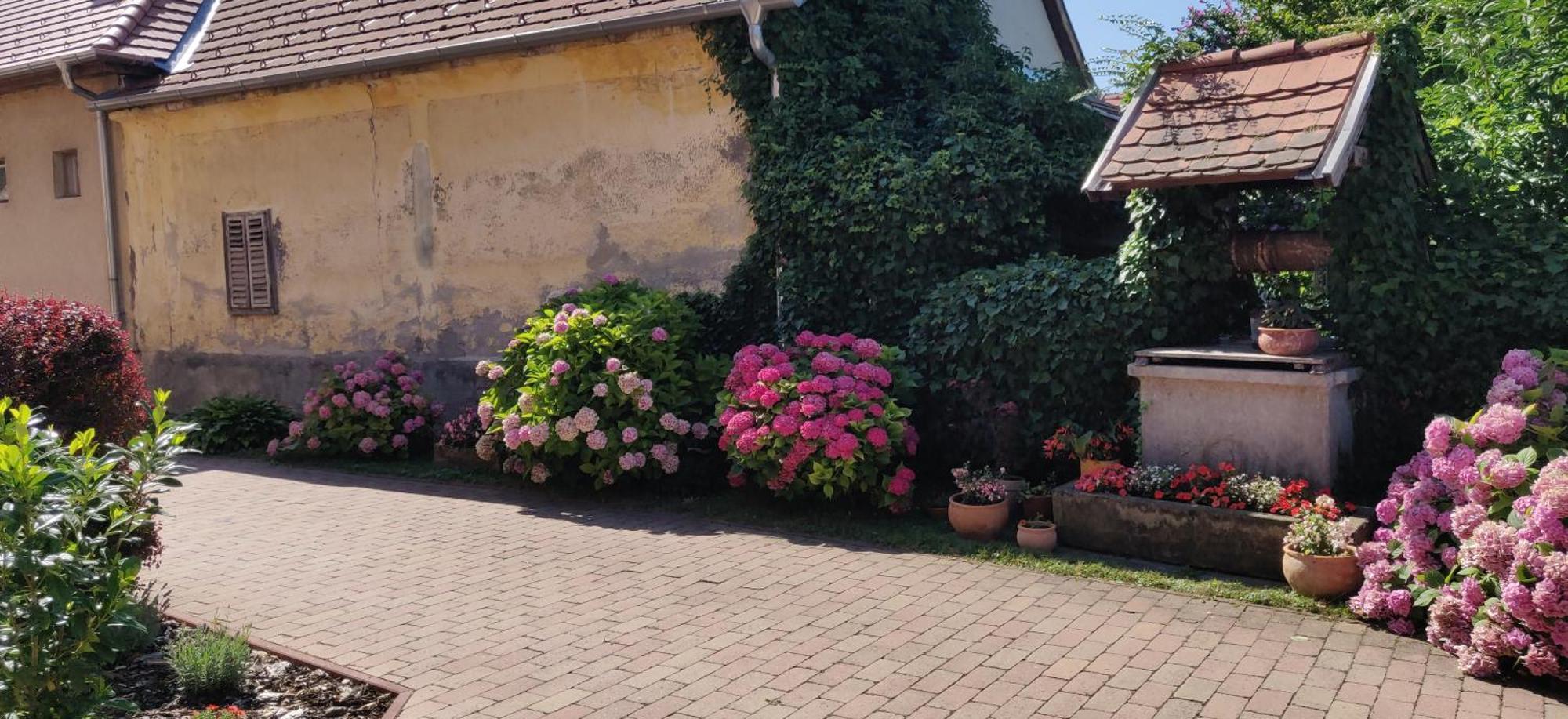 Bed and Breakfast Korona Panzio Balatonberény Exteriér fotografie